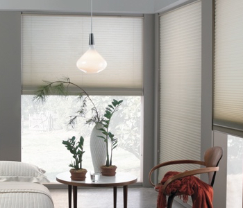 roller shades in San Antonio space